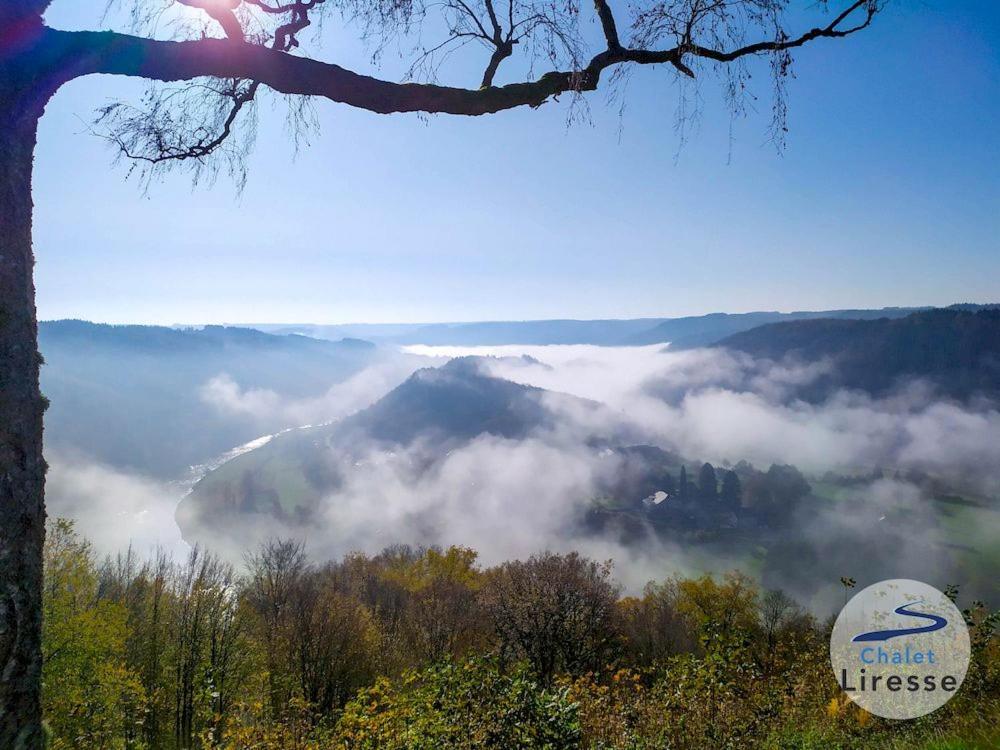 Chalet La Liresse ロシュオー エクステリア 写真